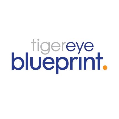 Tiger Eye BlueprintProfile Image