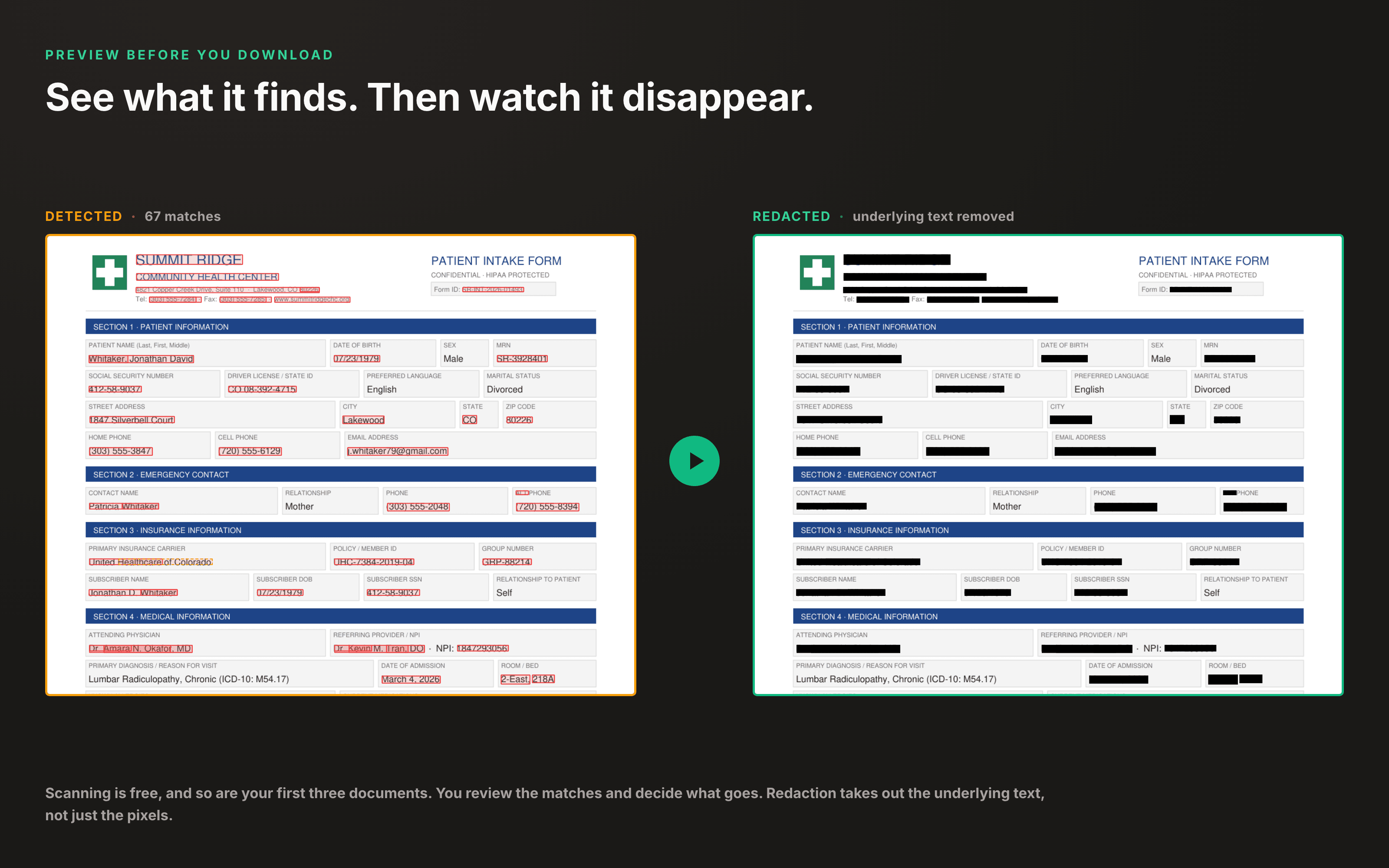Preview the redacted copy