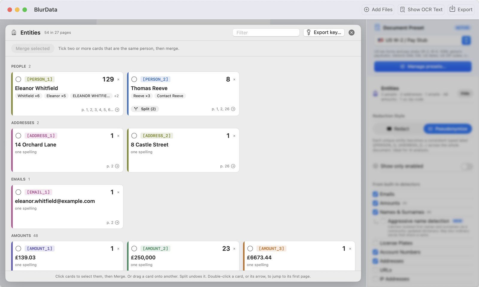 Entity map: review, merge and export the key before sharing